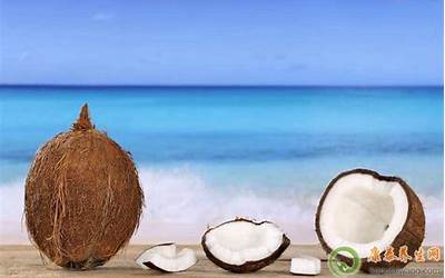 椰子的营养价值 椰子的功效与作用